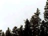 IMG34.JPG